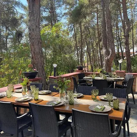 Semiramis Hotel 3*