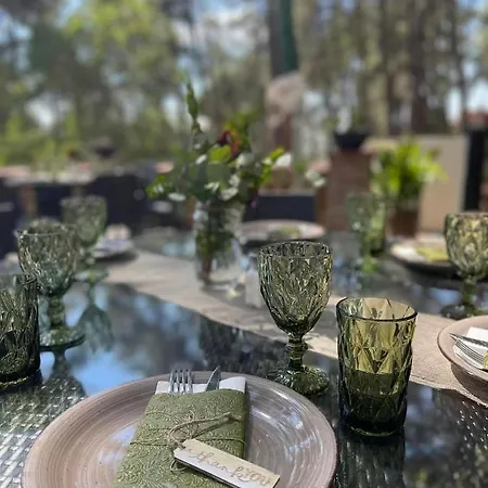 Semiramis ホテル パノ・プラトレス